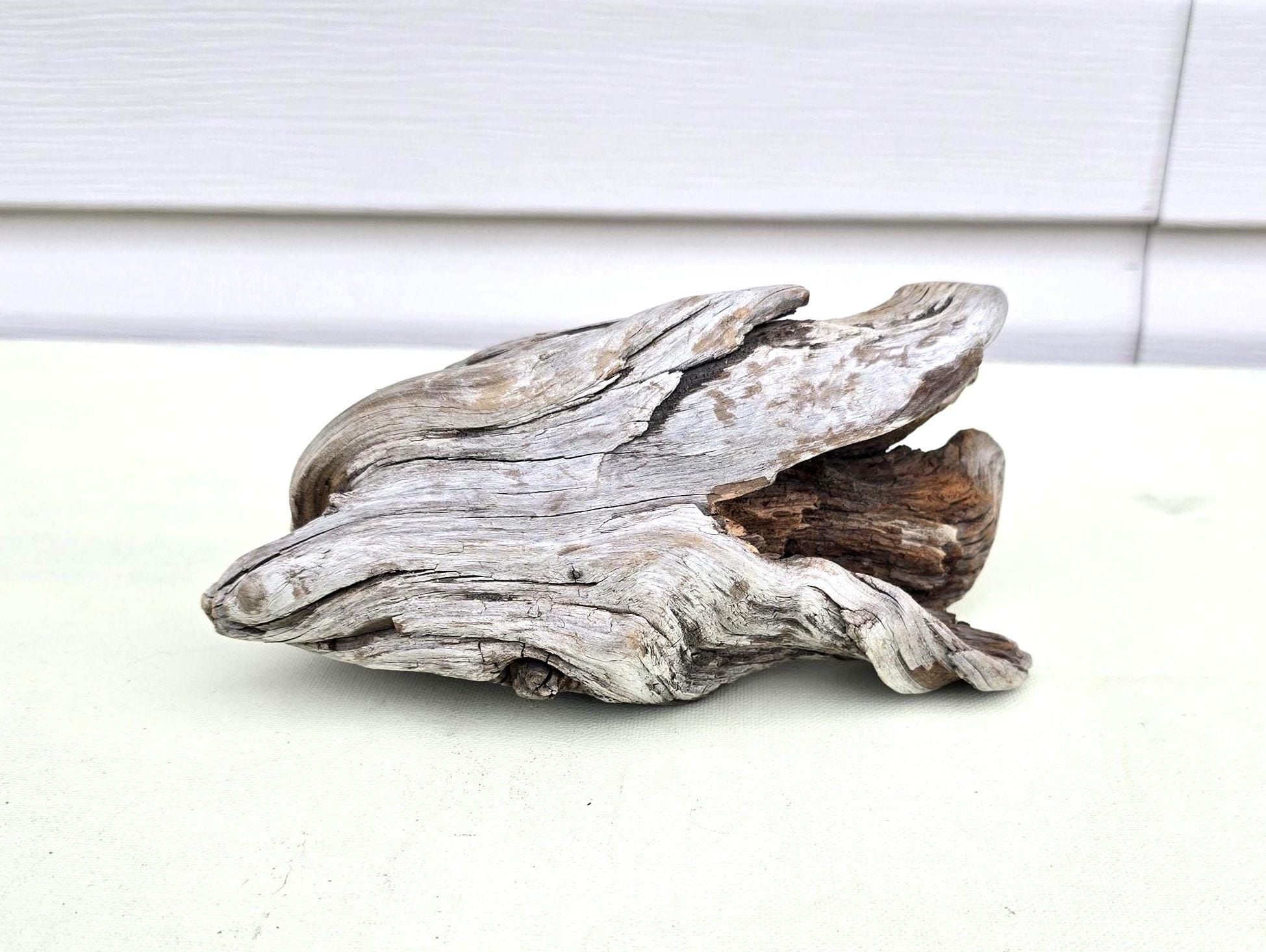 Natural Freshwater Driftwood: 8" Aquarium Decor