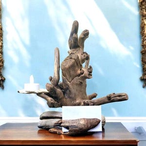 Porte-cartes de visite en bois flotté, présentoir pour cartes de visite en bois, art du bois flotté, sculpture en bois flotté, décoration de bureau, décoration côtière