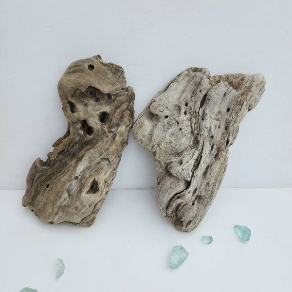 Large Flat Driftwood Etsy