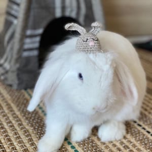 Rabbit Hat, Bunny Hat, Pet Clothing, Pet Lover Gift, Easter Gift, Knitting, Pet Gifts