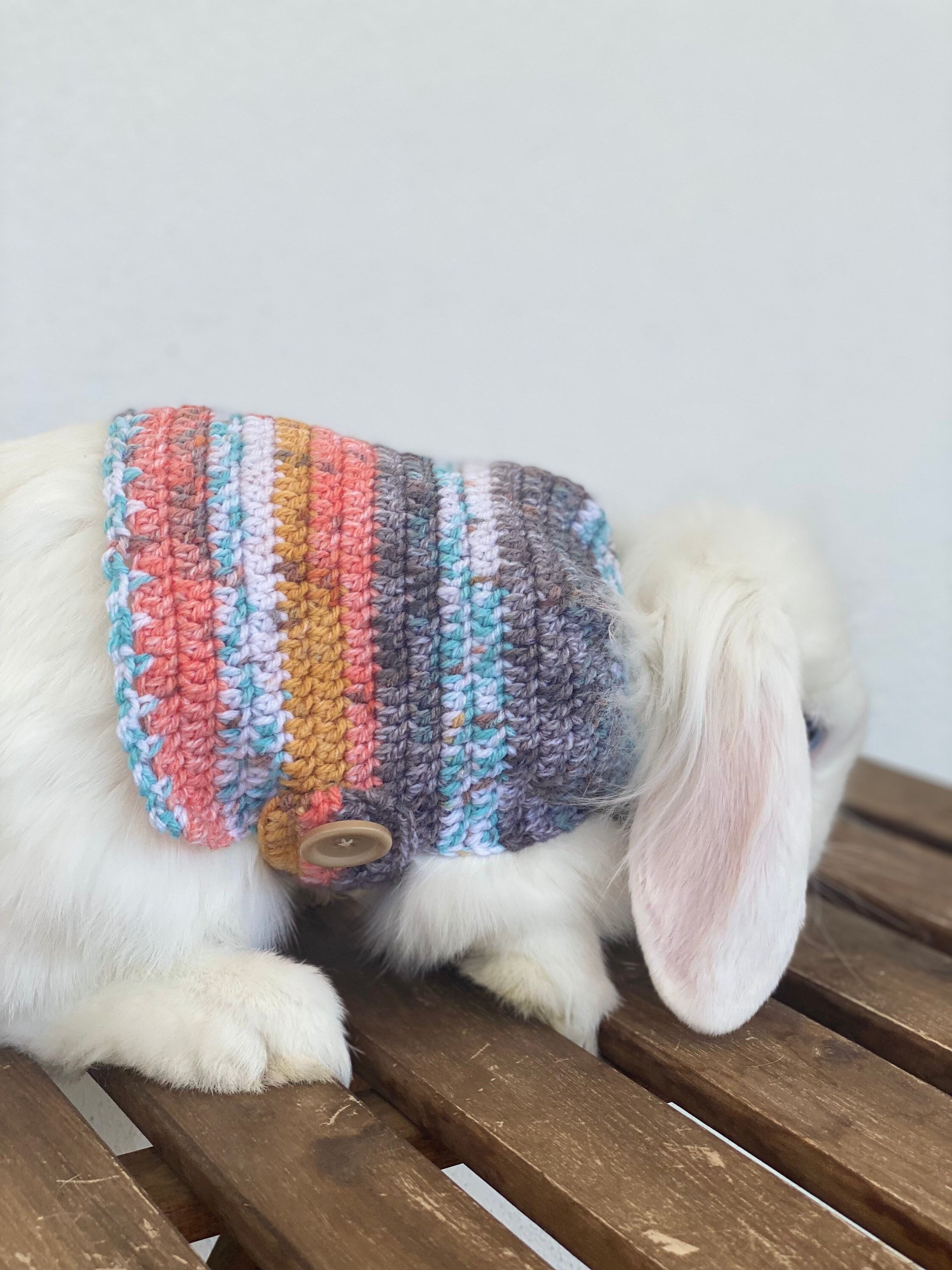Autumn Rabbit Sweater Bunny Outfit Pet Clothing Bunny Etsy