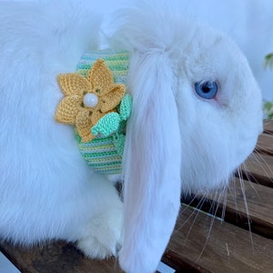 Rabbit Pet Spring Flower Collar, Bunny Outfit, Pet Clothing, Bunny Clothes, Crochet Collar, Pet Lover Gift, Knitting, Pet Gifts