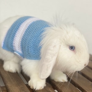 Cute Rabbit Sweater, Bunny Outfit, Pet Clothing, Bunny Clothes, Crochet Sweater, Pet Lover Gift, Bunny Gift, Knitting, Pet Gifts