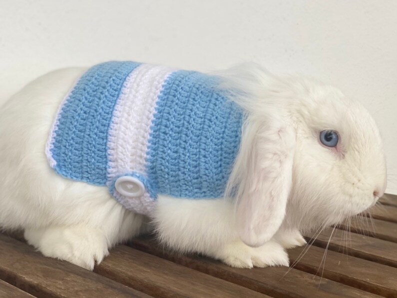 Crochet Rabbit Sweater, Handmade Bunny Clothes, Pet Outfit - Etsy