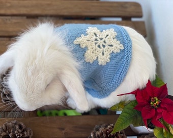 blue bunny sweater