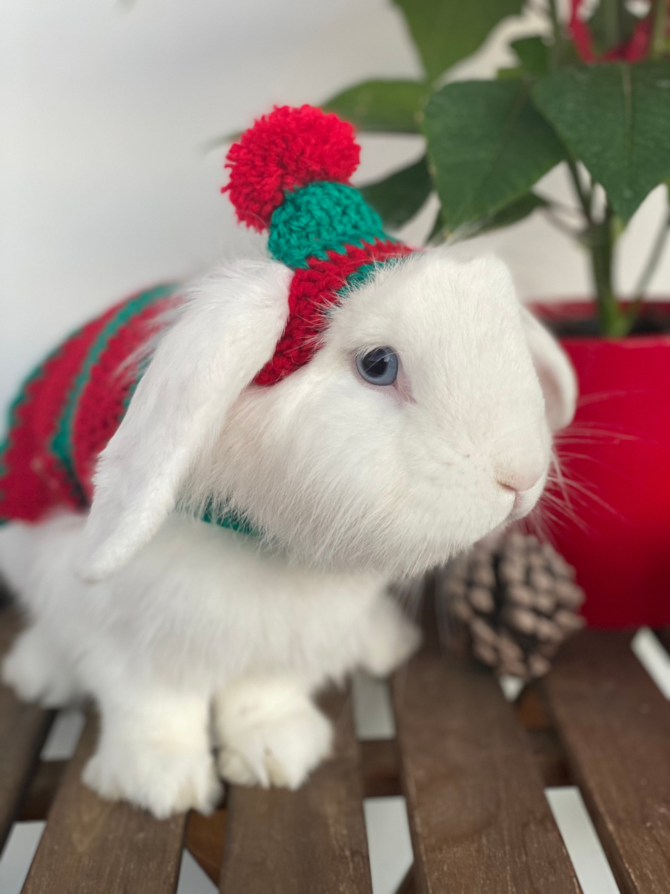 conejos vestidos de navidad