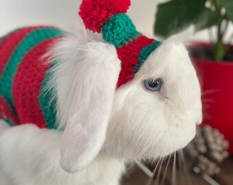 Navideño Ropa Para Conejos De Navidad Conjunto Navideño De Conejo