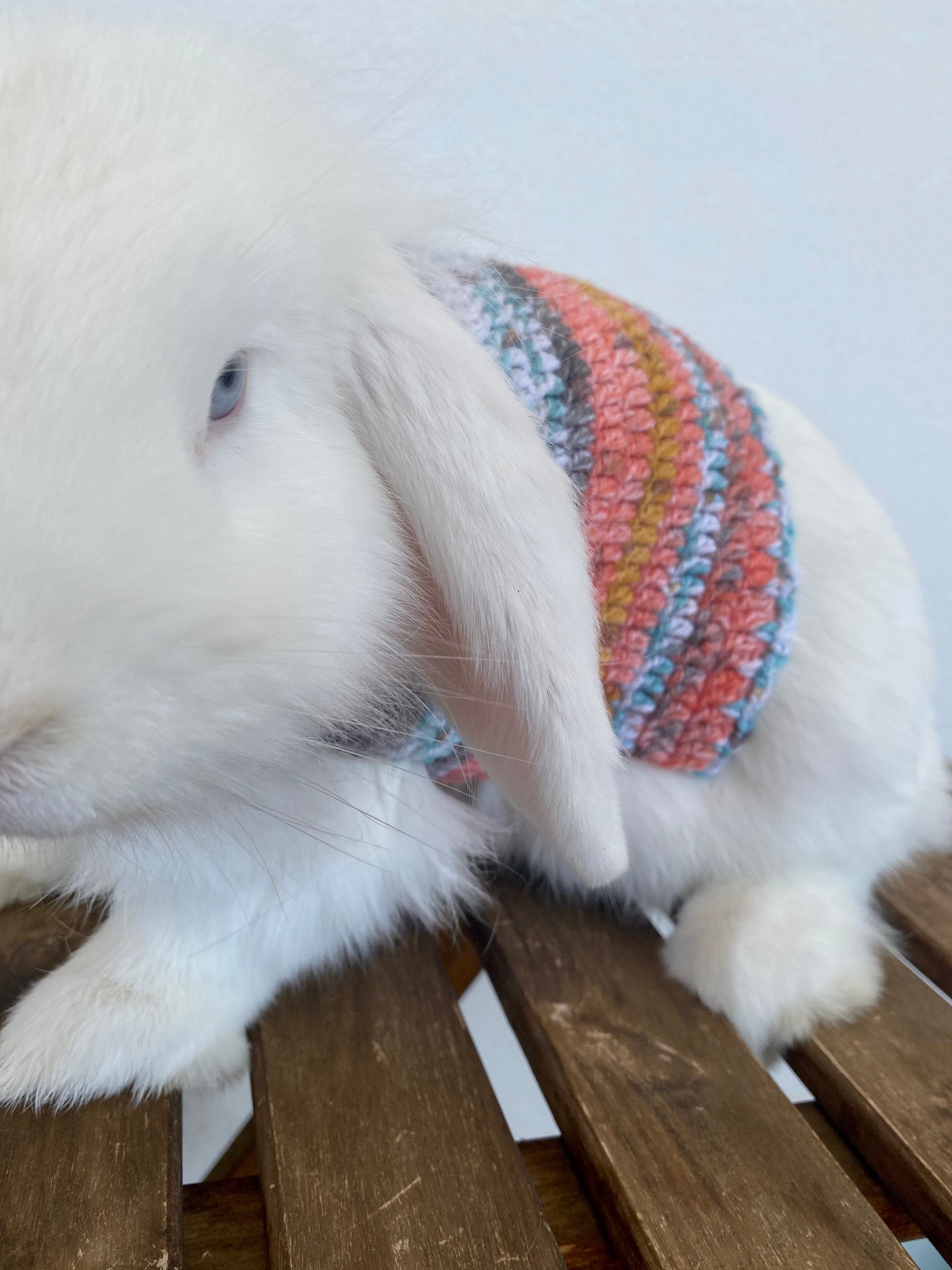 Autumn Rabbit Sweater Bunny Outfit Pet Clothing Bunny Etsy