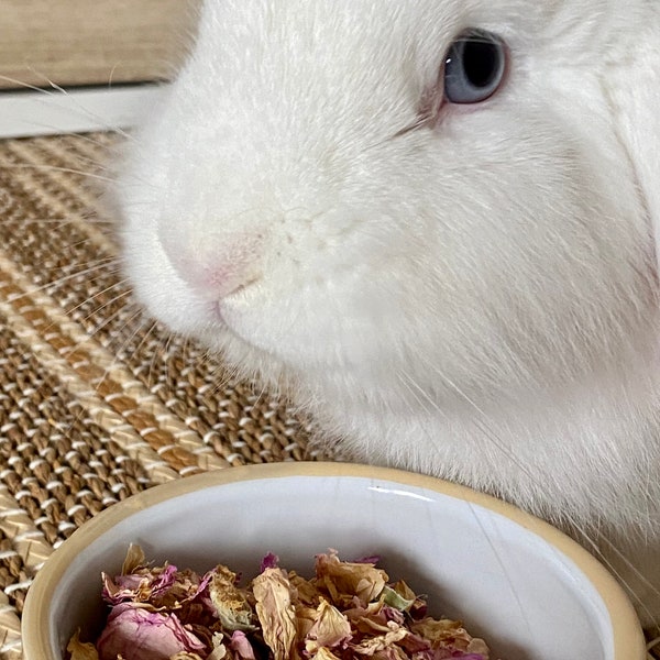 Organic Dried Rose Buds & Petals, Bunny Treat, Organic Herbs for Small Animals: rabbits, chinchillas, guinea pigs and other small pets.