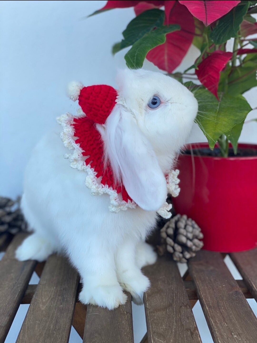 DolliBu dollibu santa grey rabbit stuffed animal plush toy - super soft  wild animal dress up with red santa claus outfit, cute farm l
