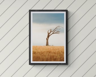 The Rhianna Tree, Bangor, County Down, Northern Ireland, Landscape Photography, Fine Art Print, Giclée Print, Wall Art