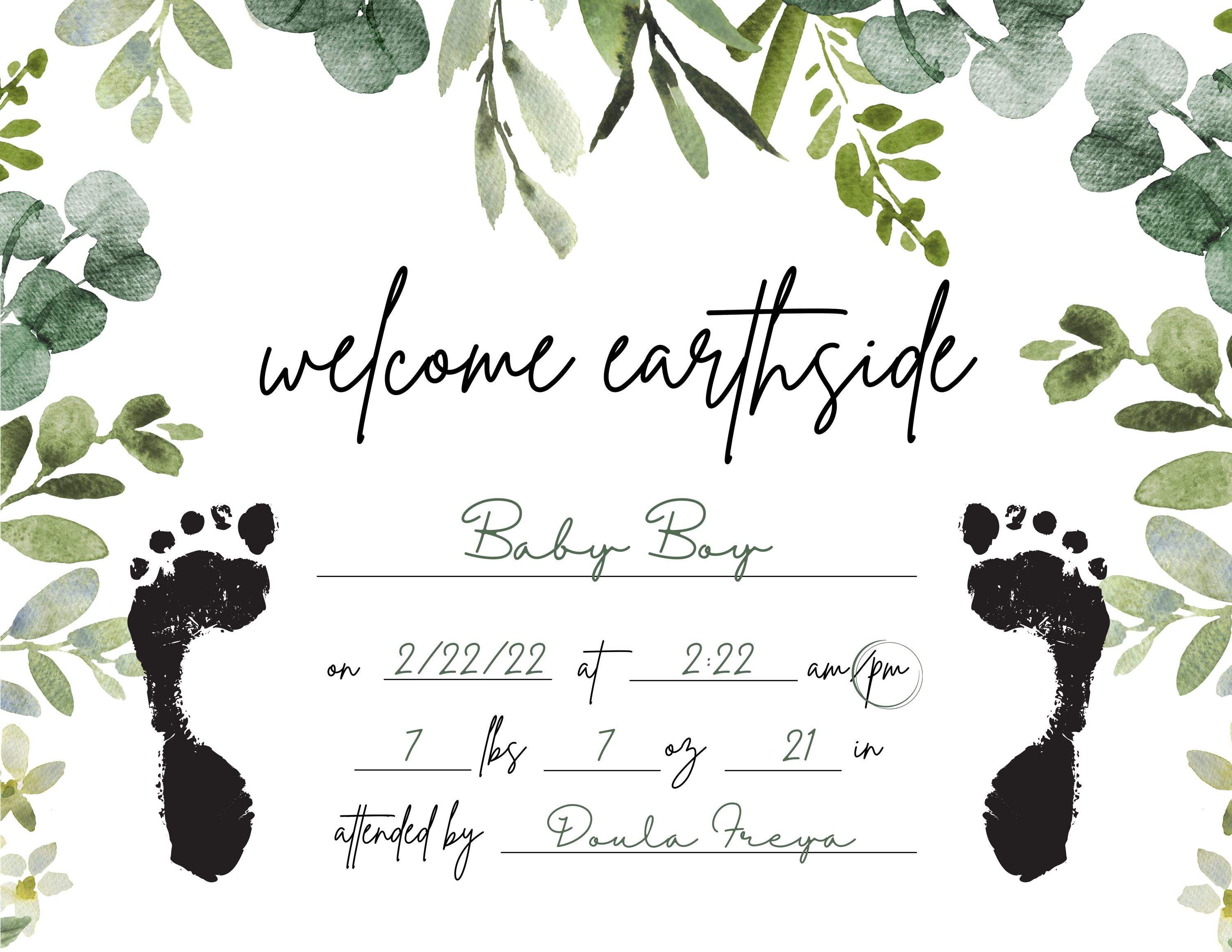 Birth Records visual data 5