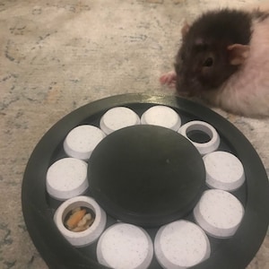 Small Pet Safe Foraging Wheel