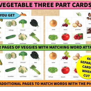 Vegetables Three Part Cards- Interactive Game-Montessori-Educational Kids Printable-Learn Veggies-Build Vocabulary-Fun Homeschool Resources