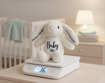 Weighted Memory Bunny 30g–50g – Early Pregnancy Loss Memorial Keepsake