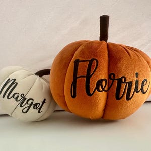 Può includere: Due zucche di peluche, una arancione e una bianca. La zucca arancione ha il nome "Florrie" ricamato. La zucca bianca ha il nome "Margot" ricamato.