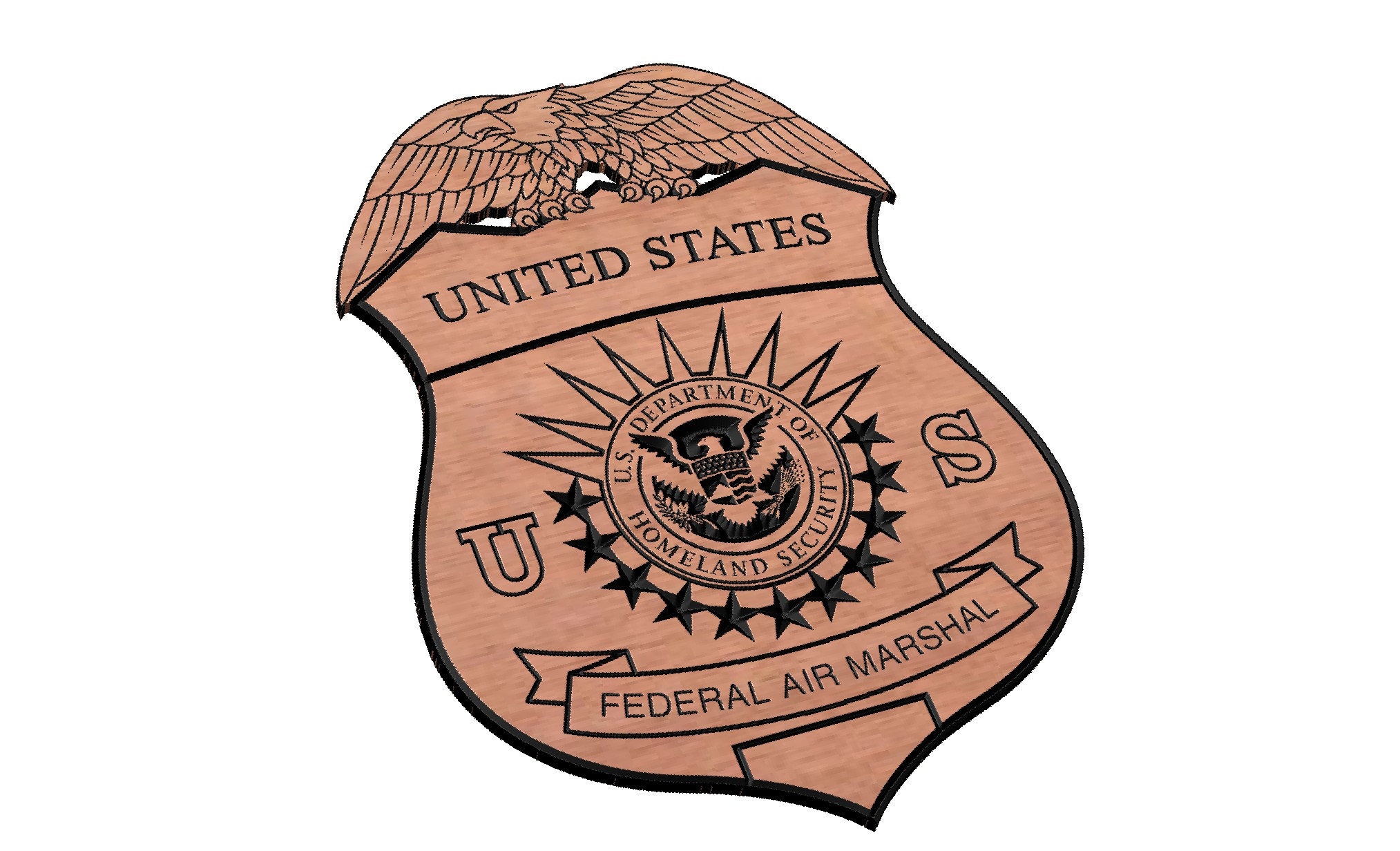 Federal Air Marshal Patch - Etsy