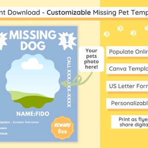 Customizable Missing Pet Poster Template | Digital Download | Edit Online | Edit Photo & Personal Info | Copy | Print