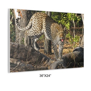 A Leopard Standing On A Fallen Tree Trunk On Canvas Wall Art Print. Great Big Cat Animal For Home Decor And Office. Ready To Hang.
