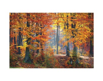 Autum Forest With Red Leaves On Classic Canvas Wall Art Print. Trees With Red Leave On The Forest For Home Decor And Office. Ready To Hang.