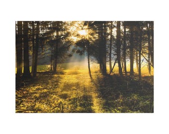Sunrise Or Sunlight On The Side Of Forest On Canvas Wall Art Print. Sunset Among Pine Trees For Home Decor And Office. Ready To Hang.