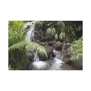 Photos of Waterfall - Small Water fall On Mountain on Satin Canvas Wall Art Print. This nature view is for Home Decor or Wall Hanging.