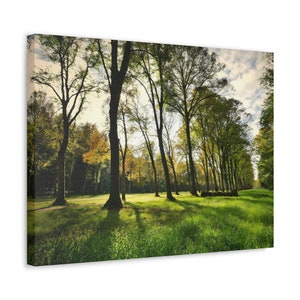 Sunrise On The Forest And On a Grass Field On Canvas Wall Art Print. Beautiful Nature View For Home Decor And Office.