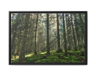Pine Forest And Sunrise On Canvas Wall Art Print. Deep Forest And Sunlight For Home Decor And Office. Ready To Hang.