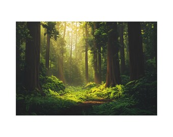 Beautiful Forest Jungle Morning, Home Decor, Canvas Wall Art Print, Trees Nature Poster, Forest Photo Print, Living Room