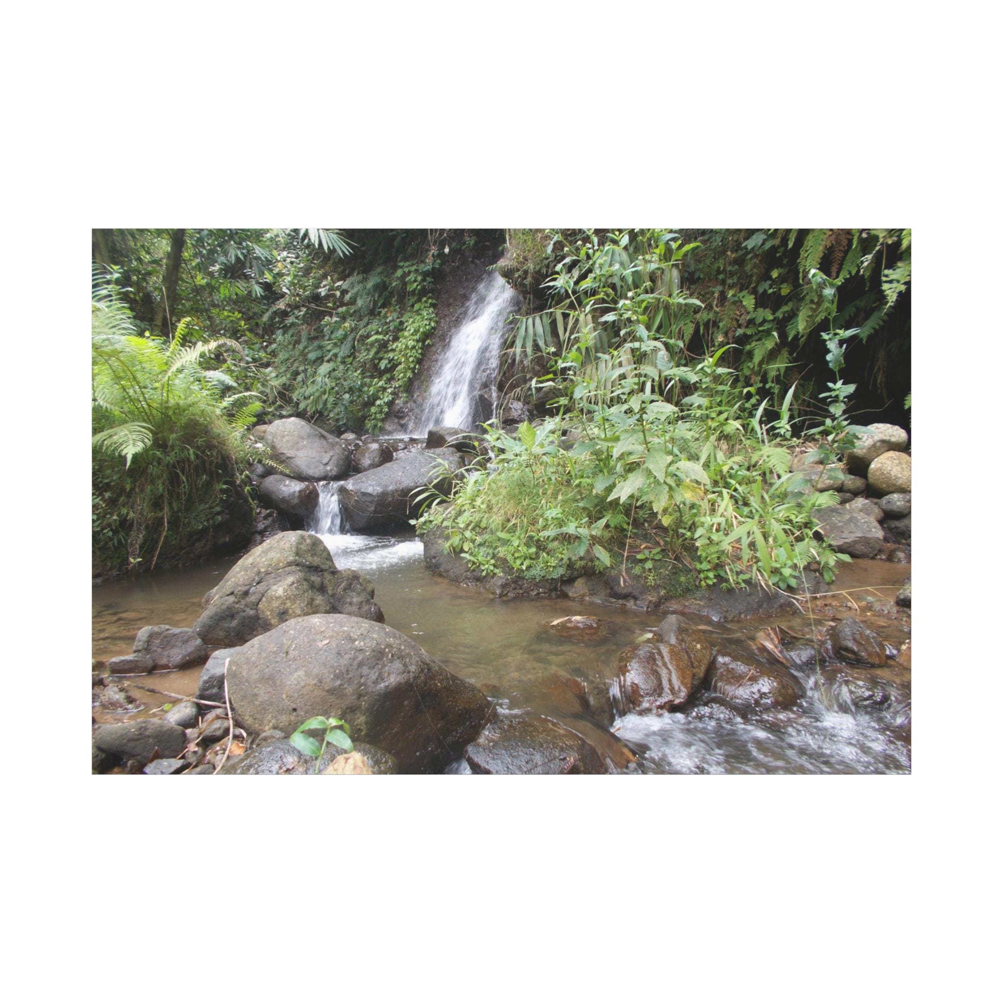 A Creek And Small Waterfall On The Mountain On Canvas Wall Art Print.  Topical Forest And Water Fall For Home Decor And Office.