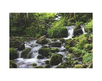 Mossy Forest Waterfall Matte Canvas. Small Waterfall On The River for Wall Art Print. Water Fall on The Forest For Home Decor And Office.