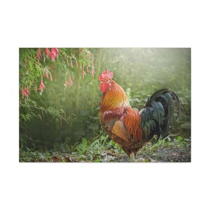 A Red Rooster Standing In A Garden On Canvas Wall Art Print. A Cute Animal Bird For Home Decor And Office.