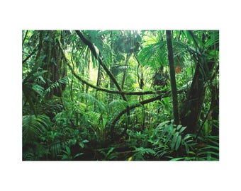 美しい緑豊かなトロピカルジャングルの油絵、キャンバスウォールアート