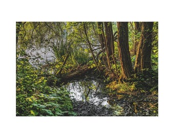 Deep Forest And River On Classic Canvas Wall Art Print. Creek With Bush and Tree For Home Decor And Office. Ready For Hang.