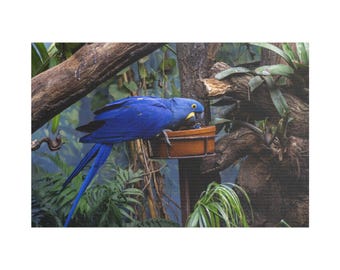 The Blue Cockatoo Bird Is Feeding In The Cage On Canvas Wall Art Print. Beautiful Animal Bird For Home Decor And Office. Ready To Hang.