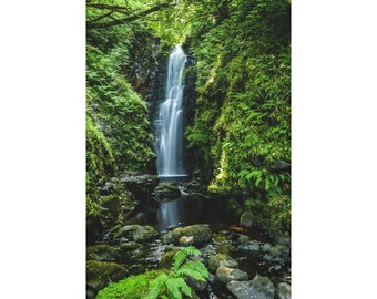 A Beautiful Waterfall Cascading Between Rocks & Ferns Into a Small Stream On Canvas Art Print. A Water Fall Creek For Home Wall Decor.