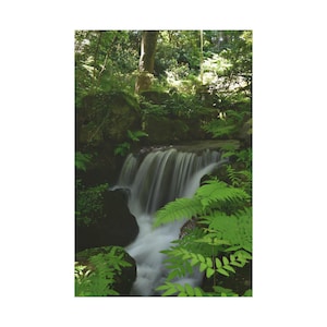 Ferns And Small Waterfall On Tropical Forest On Classic Canvas Wall Art Print. Deep Forest and River For Home Wall Decor.