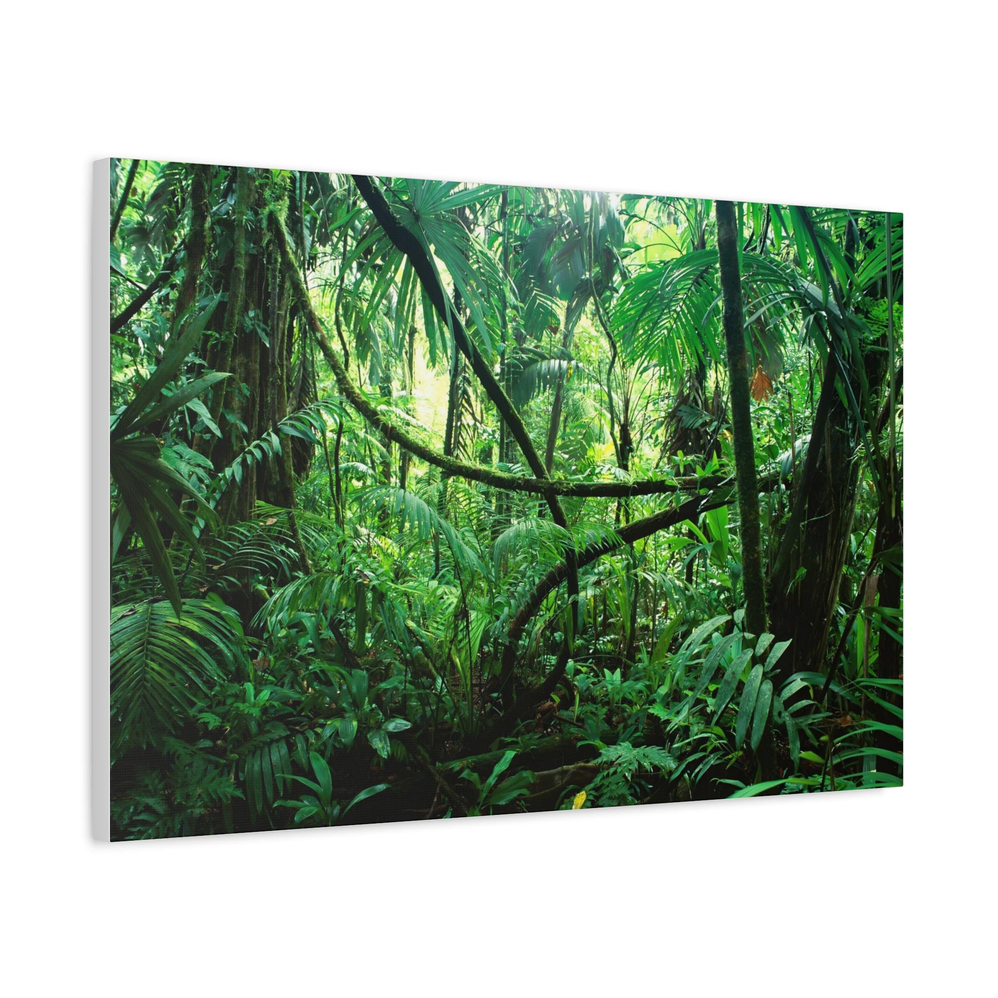 Green Tropical Rainforest on Canvas Wall Art Print. Jungle Deep Forest ...
