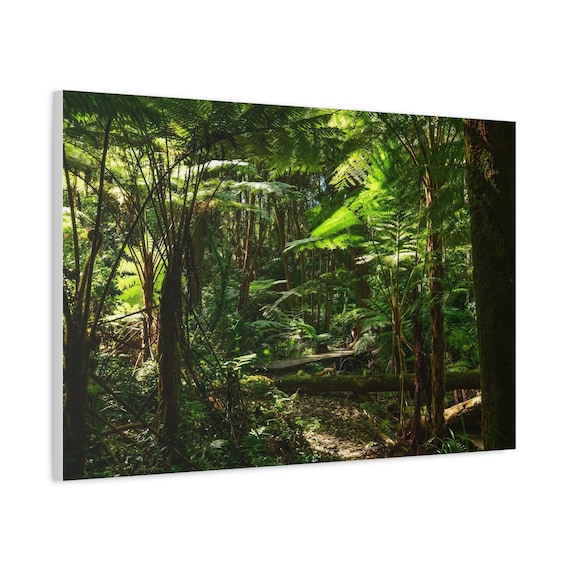 Kunstdruck ""Riesige Farne im Regenwald""." Schnes tiefes tropisches  Waldgrn fr Hauptwanddekor. - Etsy.de