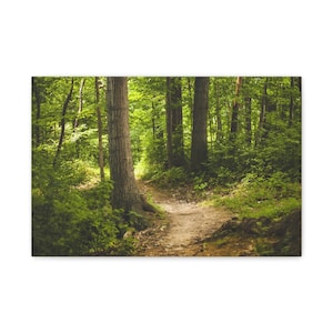 Woodland Deep Forest On Classic Canvas Wall Art Print. Deep Mahogany Forest And a Footpath For Home Decor And Office.