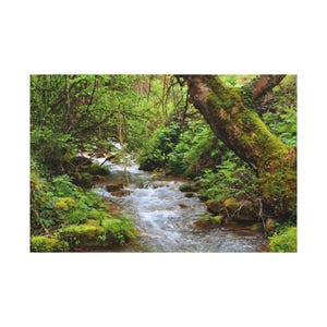 Small River On Deep Tropical Forest On Canvas Wall Art Print. Green Forest And Fresh Water Creek For Home Decor And Office.