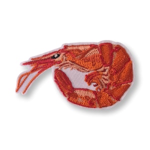 Peut inclure: Écusson brodé représentant une crevette orange. Le patch a une bordure blanche et montre le corps, les antennes et l'œil de la crevette. Ce patch convient aux vêtements, sacs ou autres articles en tissu.