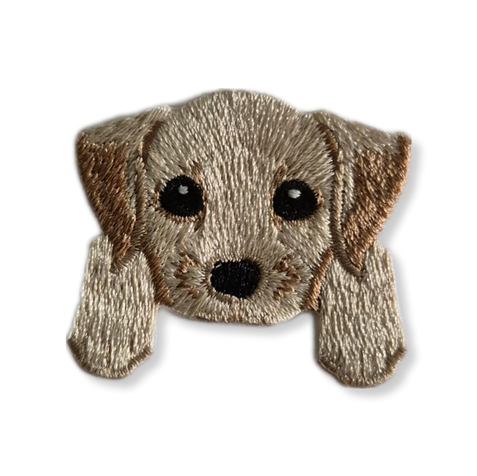 Cuccioli di cane Labrador Retriever in vendita - annuncio N. 121903