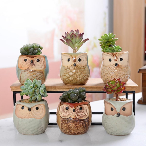 Owl Flower Pot Etsy