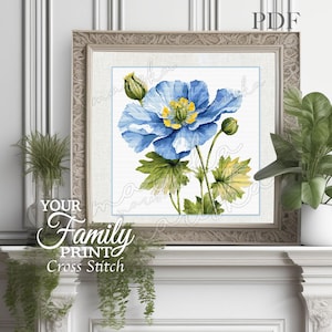 Cross Stitch Pattern Cosmos Blue Flowers PDF Full Coverage Flowers Stitch Pattern PDF Instant Download Cross Stitch PDF easy stitch cross