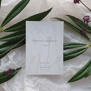 Gathering Contemplations - Illustrated Poetry Book