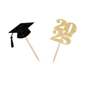 2025 Graduation & Hat Cupcake Picks, Class of 2025, 2025 Graduation Picks, High School Graduation, College Graduation, 2025 Cupcake Picks