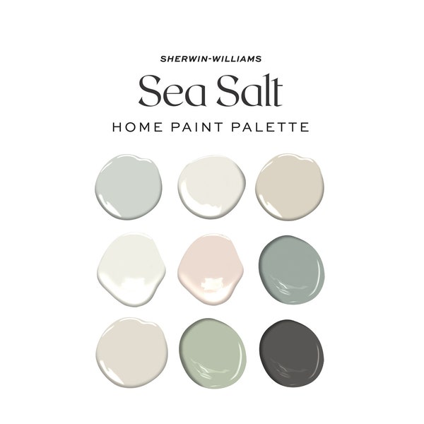 Sea Salt Sherwin Williams Innenfarbenpalette, 2022 Trendige Moderne Küstenstrandhaus-Farbpalette, ganze Hausfarben-Farben