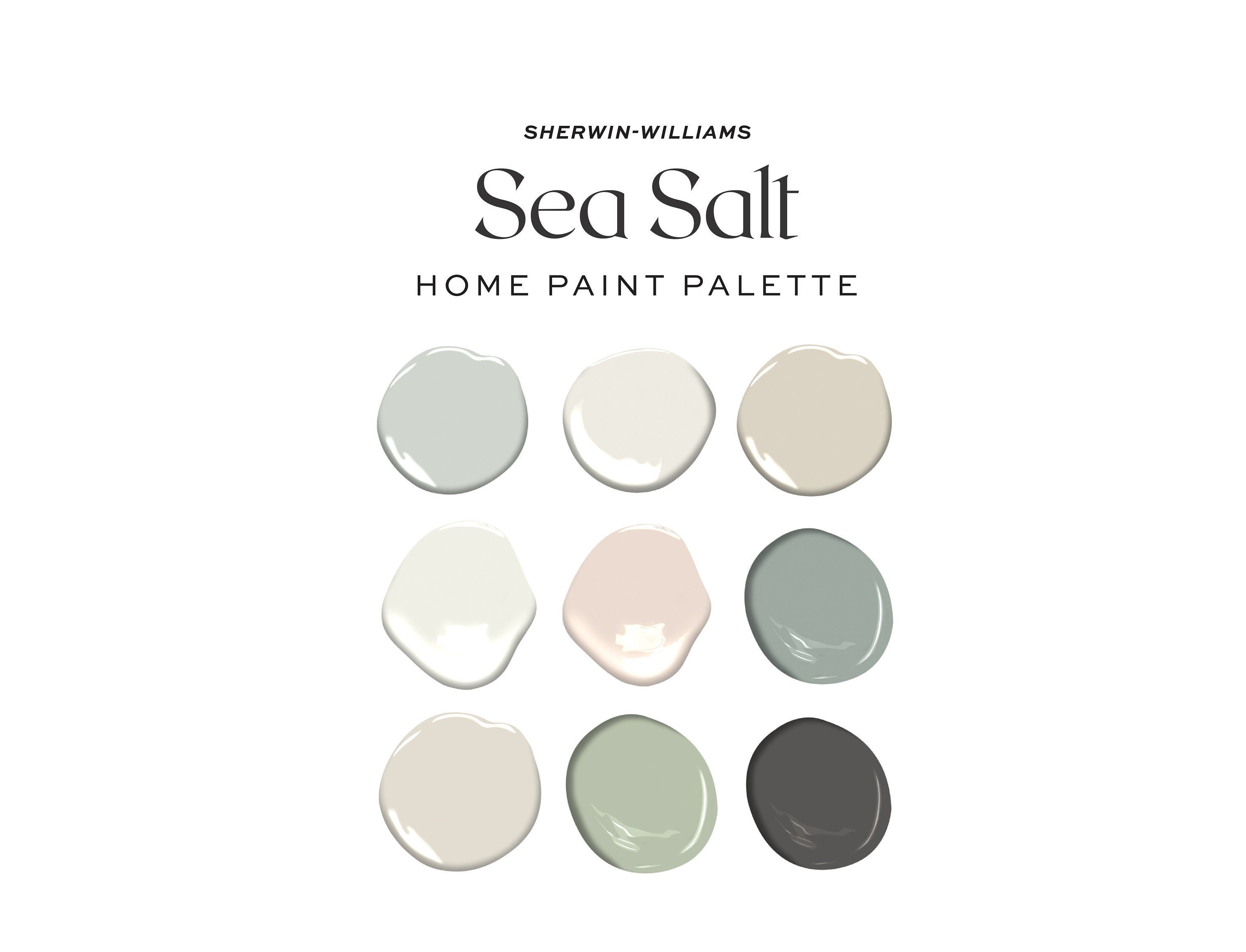 Sea salt paint color deals