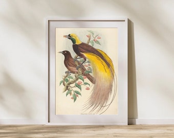 Botanical bird Art | Vintage Gallery Wall | Digital Printable